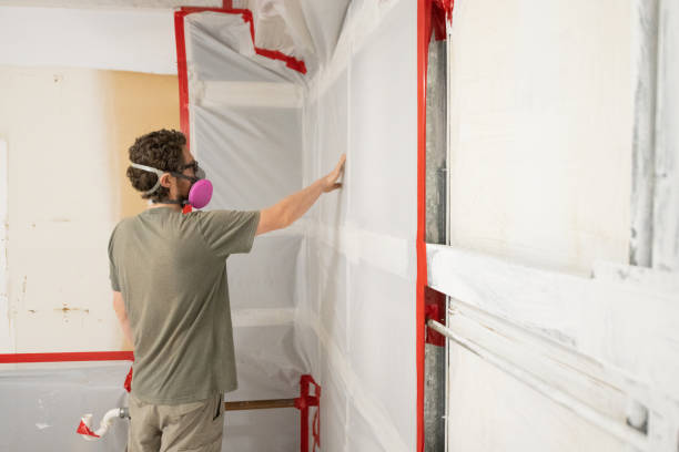 Mold Documentation for Insurance Claims in Mount Pleasant, MI