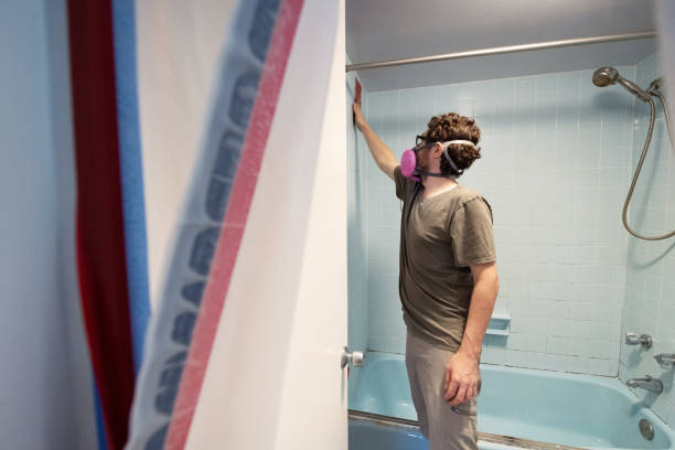 Professional Mold Removal in Mount Pleasant, MI