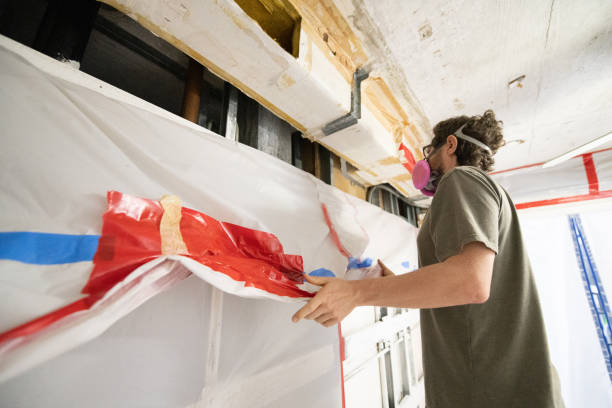 Best Black Mold Removal  in Mount Pleasant, MI