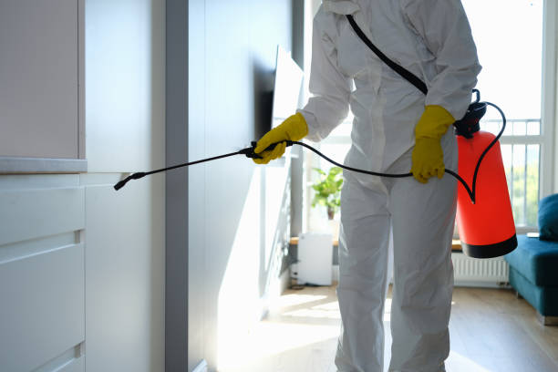 Best Air Quality Testing for Mold Spores  in Mount Pleasant, MI